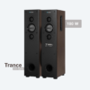 ZyrexXaria002 Zyrex Xaria 180W Dual Floor-Standing Tower Speaker with Wireless Mic